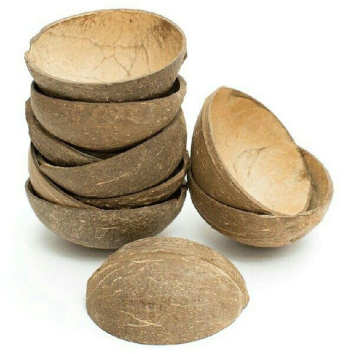 Thenga Natural Oval Coconut Shell Bowls - Set of 10, 150 ML, Perfect for Ice Cream, Snacks, Fruits, Salads | Parties & Catering - Image 5