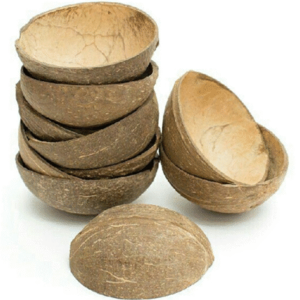 Thenga Natural Oval Coconut Shell Bowls - Set of 10, 150 ML, Perfect for Ice Cream, Snacks, Fruits, Salads | Parties & Catering